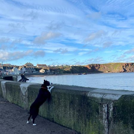 Generals Yard Villa Eyemouth Kültér fotó
